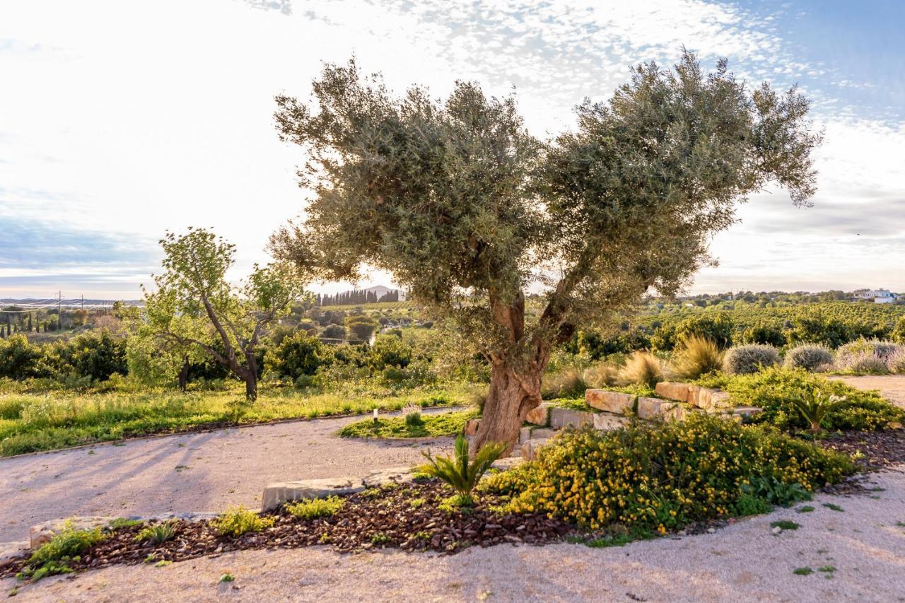 Quinta Da Baleeira Holiday home Tavira