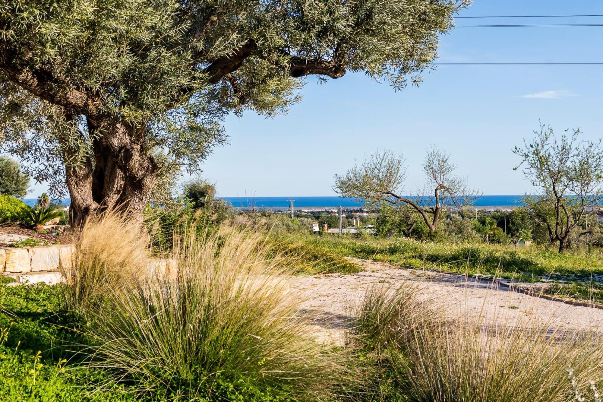 Quinta Da Baleeira Holiday home Tavira